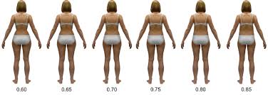 Download woman body stock photos. Examples Of Stimuli Silhouettes Color Version Of Average Weight Woman Download Scientific Diagram
