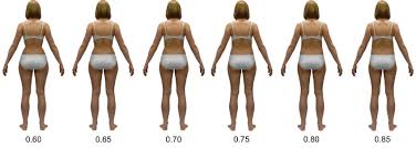 Aus natürlichen und nachhaltigen textilien. Examples Of Stimuli Silhouettes Color Version Of Average Weight Woman Download Scientific Diagram