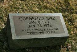 Cornelius Bird (1871-1936)