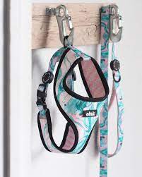 Halting Dogs Funny Doglover Marbledogcollar Dog Harness Easiest Dogs To Train Dog Training Tips