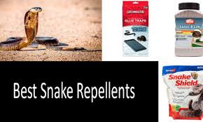 Starting an pest control business can be a rewarding experience but it comes with the normal challenges of running a small business. How To Keep Snakes Away Best Snake Repellents Review 2021