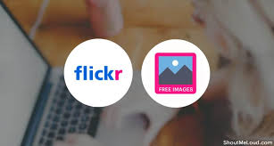 Browse with ease, select and organize hundreds of photos with one. This Is How You Can Use Flickr To Find Free Images For Your Blog