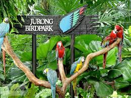 Jurong bird park will shift to mandai in 2020. Jurong Bird Park