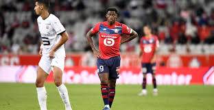 Check spelling or type a new query. In Focus David S Debut For Lille