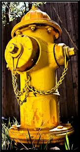 It's a code to indicate the amount of water that particular hydrant will provide. Pin By Gina Parrish On Mello Yellow Yellow Fire Yellow Photography Shades Of Yellow
