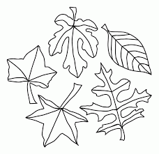 All these coloring sheets are chosen depending on their accuracy. Coloring Leaf Coloring Home