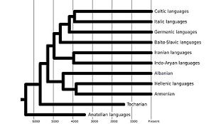 The date of death appraisal, also called a date of death valuation, is a real estate appraisal and a key component of the accounting of the worth of the estate required by the federal government. Indo European Languages Wikipedia