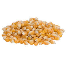 No popped kernels (or very few at that). 50 Lb Bulk Bag Mushroom Popcorn Kernels Shop Wholesale