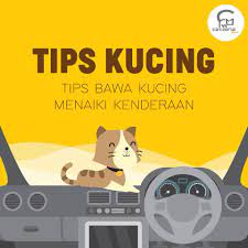 Maybe you would like to learn more about one of these? Dunia Kucing Penting Bagi Yang Nak Bawa Si Bulus Facebook