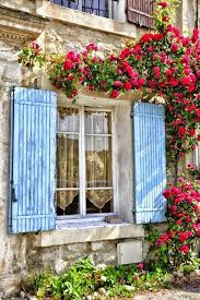 country live blume haus fensterladen hutte fenster fenster und turen