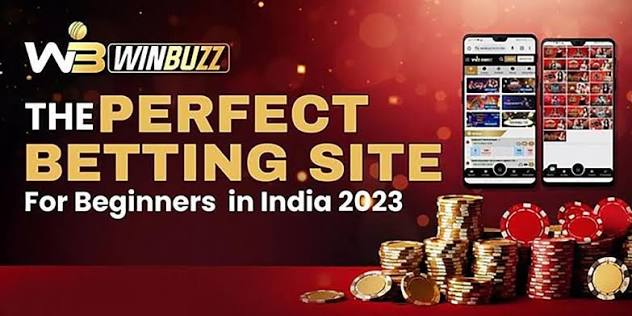The Perfect Betting Site for beginners in India 2023 - WinBuzz Apk