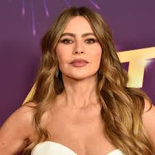 We can't get enough of Sofia Vergara's bathroom fireplace