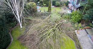Erfahren sie hier u.a., für welche bauvorhaben sie die genehmigung brauchen, wie sie den bauantrag stellen und welche folgen eine fehlende genehmigung hat. Wesel Baumschutzsatzung