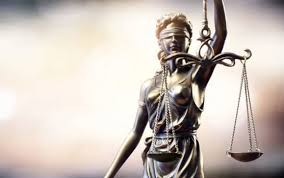 Image result for Justicia engleriana