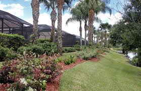 Complete outdoor landscape pest control services. Estate Landscaping And Lawn Management Services Southwest Florida