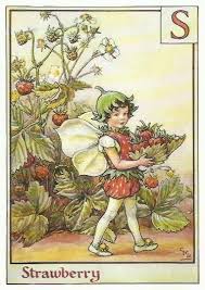 Clive barker books in order. Strawberry Fairy By Cicely Mary Barker Flower Fairies Vintage Etsy Flower Fairies Fairy Art Fairy Illustration