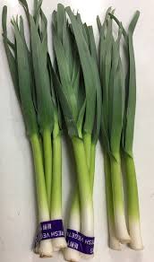 にんにくの葉 産直野菜ぷちトマト 大分県 熊本県 宮崎県 山口県の有機jas農産物 減農薬栽培 普通栽培の新鮮 安心 安全野菜をお届けします