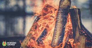 22 Of The Best Firewood Choices You Can Burn This Winter