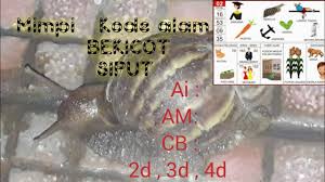 Maybe you would like to learn more about one of these? Tafsir Mimpi Atau Kode Alam Ikan Sampan Misteri Angka Youtube