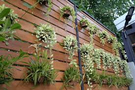 We did not find results for: How To Create A Vertical Hydroponic Gardening System Home Stratosphere