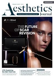 The Aesthetics Journal