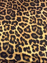 Wild animal skin background with grunge texture. Leopard Print Wallpapers Top Free Leopard Print Backgrounds Wallpaperaccess