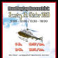 Helikopter Rundflugtag (Samstag) event image