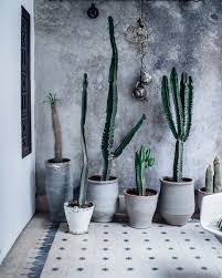 Best cactus quotes selected by thousands of our users! Cacti At Thesecretsouk S Beautiful Home La Maison Marrakech The Cactus Is My Spirit Plant If That S A T Plantendecor Cactussen En Vetplanten Hangende Tuin