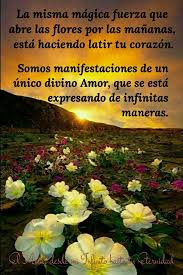 Pin By Roseblack On El Amor Desde Mi Infinito Hasta Tu Eternidad Quotes