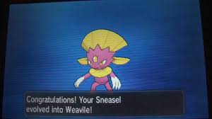 Pokemon Y Shiny Sneasel Evolves Live Random Shiny Budew