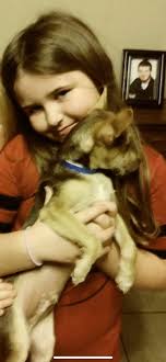 Lost And Found animals In Person County, NC