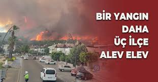 Köyceğiz'de orman yangını muğla'nın köyceğiz ilçesindeki ormanlık alanda, henüz belirlenemeyen nedenle yangın çıktı. Ttoipttag7psm