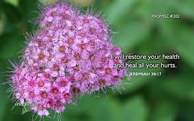 Present these wonderful truths so that their young minds will comprehend. I Will Not Leave You Comfortless Scripture Prayers