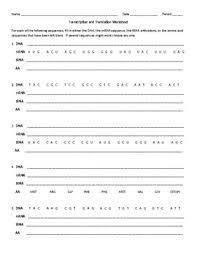 A transcription and translation worksheet is many short questionnaires on a certain topic. Dna Transcription Translation Worksheets Teachers Pay Teachers
