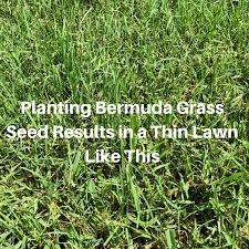 Most lawns need 1 to 1.5 inches of water per week—either from rain or watering—to soak the soil that deeply. Planting Bermuda Grass Seed Houston Grass South Video Pearland Katy