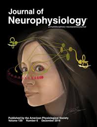 Journal of Neurophysiology: Vol 120, No 6