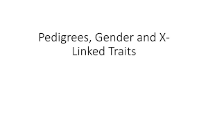 Ppt Pedigrees Gender And X Linked Traits Powerpoint