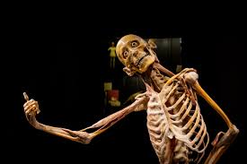 De expo is open van woensdag tot en met zondag, op weekdagen telkens van 10 tot 17 uur, in het weekend tot 18 uur. Real Bodies Antwerpen Een Andere Kijk Op Het Menselijke Lichaam 21bis