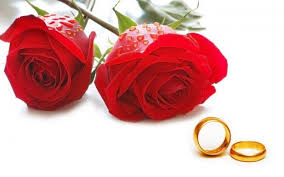 Beautiful Red Rose Hd Wallpapers Free Download Red Flowers Pictures Red Flowers And Roses Ful Happy Rose Day Wallpaper Rose Day Wallpaper Red Roses Wallpaper