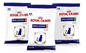 Cats and dogs with ckd can often have waxing and waning appetites. Royal Canin Veterinary Support Starter Renal Support Canned Cat Food Supportive
