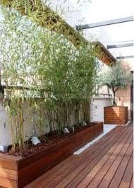 Should I Switch Up My Training I M A Girl Writing An Article In 2020 Bambus Pflanzen Bambus Garten Garten Hochbeet