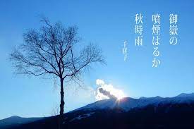 sample cards 2 俳句 はる 情景