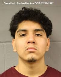 Mark Herman, Harris County Constable Precinct 4