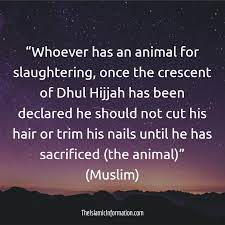 Cutting Nails And Trimming Hair Before Dhul Hijjah Eid Ul Adha