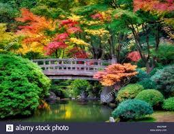 Japanese Gardens High Resolution Stock Photography And Images Alamy