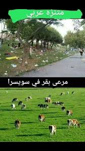 Pin By فلسطينية ولي الفخر On حقيقة Funny Dude Arabic Funny Funny Gifs Fails