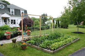 Backyard vegetable gardens vegetable garden design potager garden gardening vegetables edible garden cool plants front yard landscaping landscaping ideas garden inspiration. Local Laws Ban Front Yard Food Gardens In Cities Across The Us