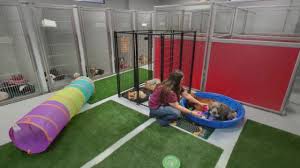 Find what to do today, this weekend, or in july. Animal Care Center Of Tupelo Veterinarian In Tupelo Ms Usa Virtual Office Tour