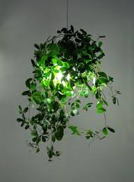 Botanical Lamp Jjoo Design Pflanzenlampe Zimmerpflanzen Dekor Pflanzen