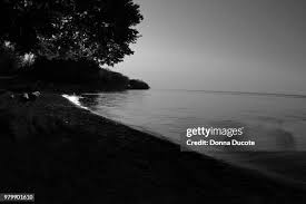 398 A Ducote Stock Photos, High-Res Pictures, and Images